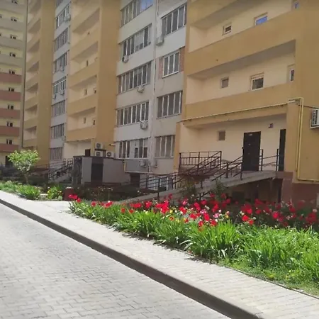 Chill Place Apartment